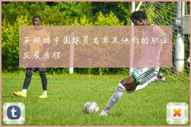 英超的中国球员名单及他们的职业发展历程