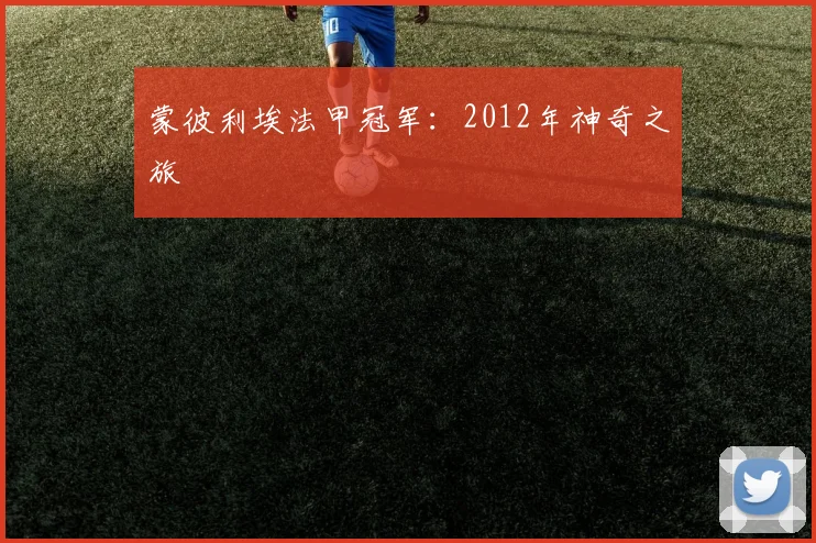 蒙彼利埃法甲冠军：2012年神奇之旅