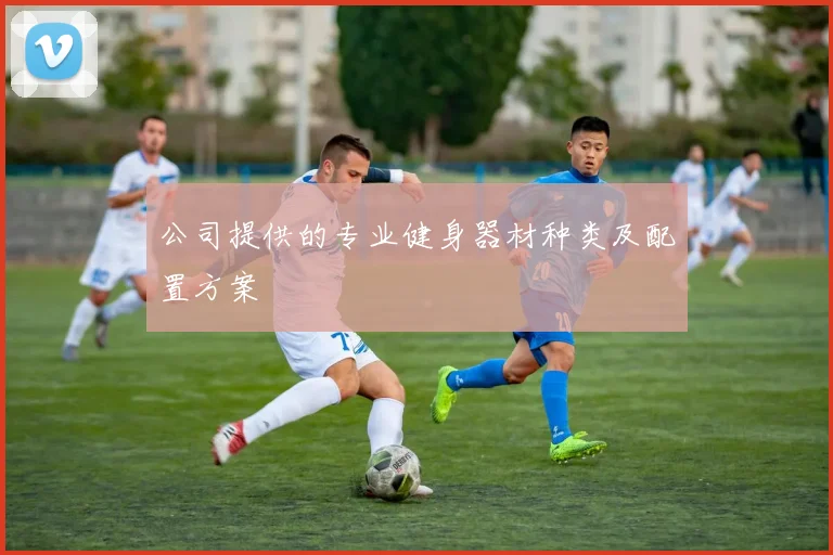 公司提供的专业健身器材种类及配置方案