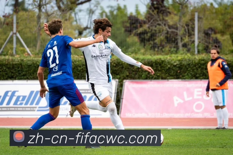 世界杯买球平台生态图